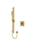 Type P (Pressure Balance) Shower Model Number PXTQ54BG