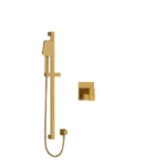 Type P (Pressure Balance) Shower Model Number RF54BG