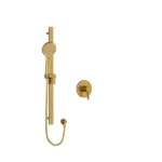 Type P (Pressure Balance) Shower Number: PXTM54BG