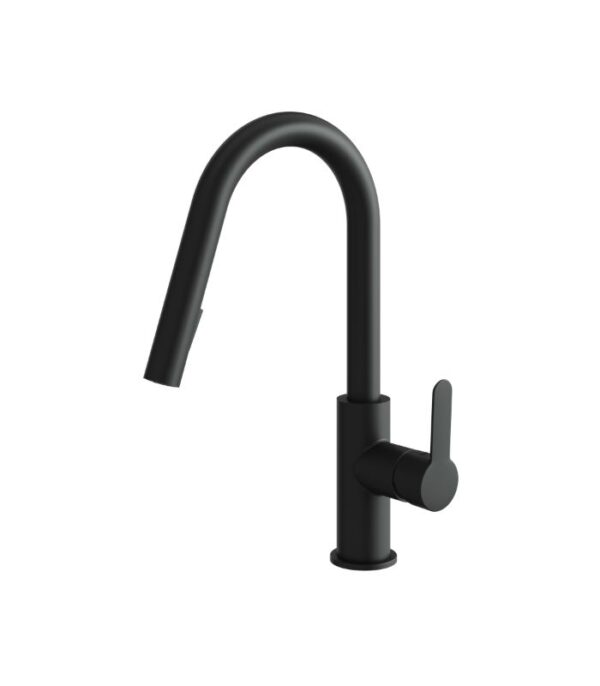 Aquabrass BARLEY Pull-Down Dual Stream Kitchen Faucet 6545N - Image 3