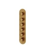 Aquabrass C67 Round Trim Set for 5 Shut-Off Thermostatic Valve R3567 - Image 6