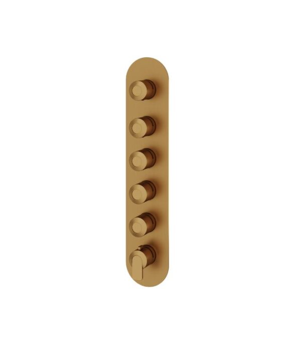 Aquabrass C67 Round Trim Set for 5 Shut-Off Thermostatic Valve R3567 - Image 6