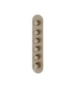 Aquabrass C67 Round Trim Set for 5 Shut-Off Thermostatic Valve R3567 - Image 2