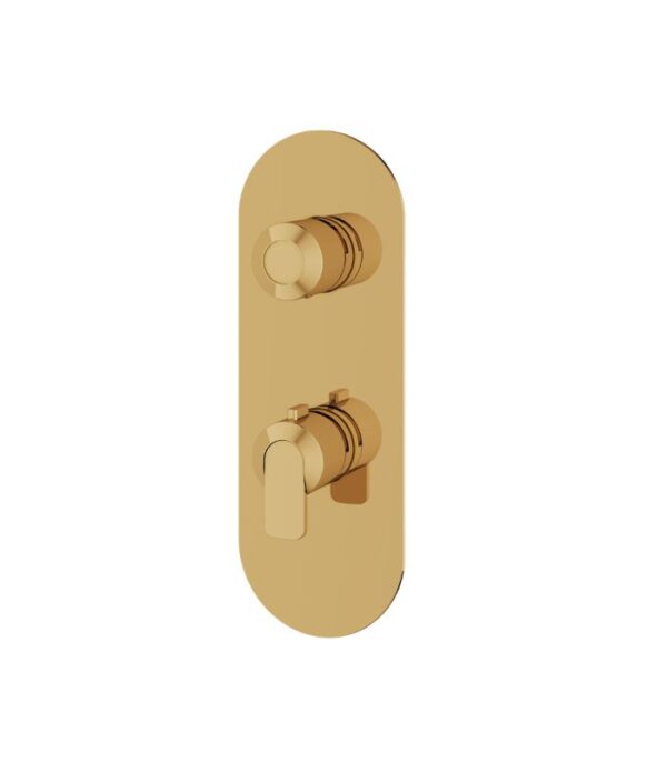 Aquabrass C67 Round 2-Way Shared Diverter Trim Set for Thermostatic Valve R8267 - Image 7