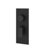 Aquabrass CHICANE 1 Shut-Off Thermostatic Valve Trim Set SR3119 - Image 3