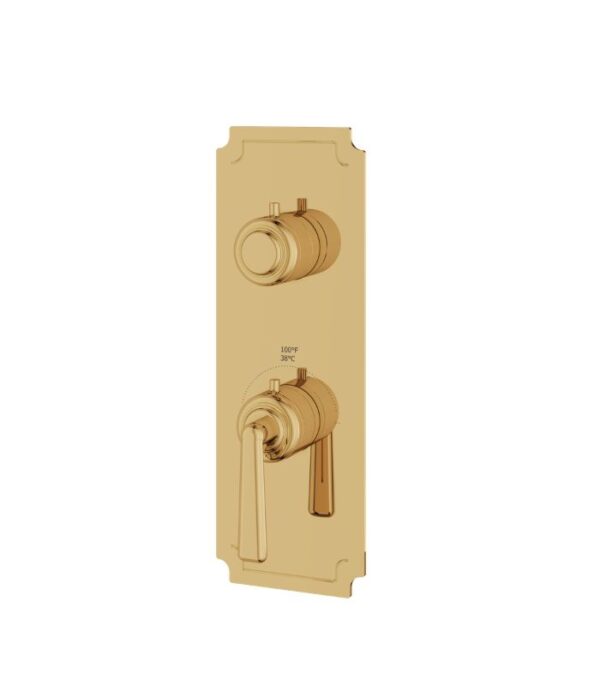 Aquabrass Forum C8242 2-Way Shared Thermostatic Valve Trim Set - Image 6