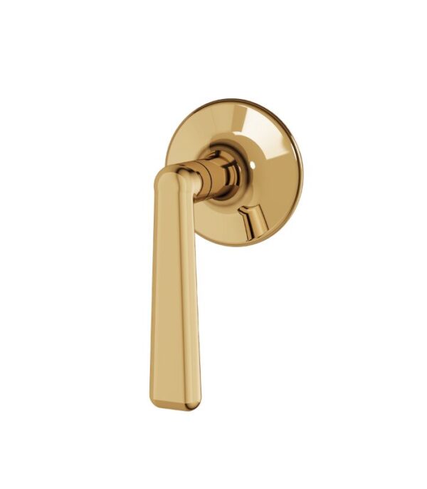 Aquabrass Forum C1342 3-Way Non-Shared Diverter Valve Trim Set - Image 6