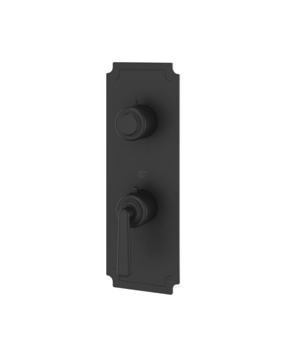 Aquabrass Forum C9342 3-Way Non-Shared Thermostatic Valve Trim Set - Image 4