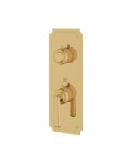Aquabrass Forum C9342 3-Way Non-Shared Thermostatic Valve Trim Set - Image 6