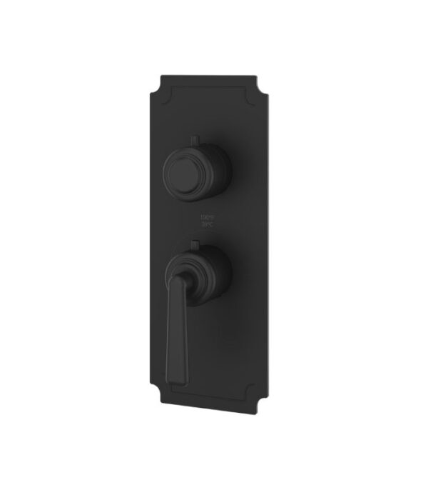 Aquabrass Forum Round Trim Set for 1 Shut-Off Thermostatic Valve C3142 - Image 4