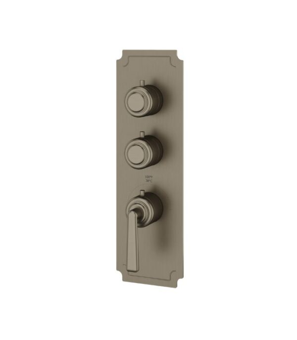 Aquabrass Forum C3242 2-Shut-Off Thermostatic Valve Round Trim Set, Variable Finish - Image 2