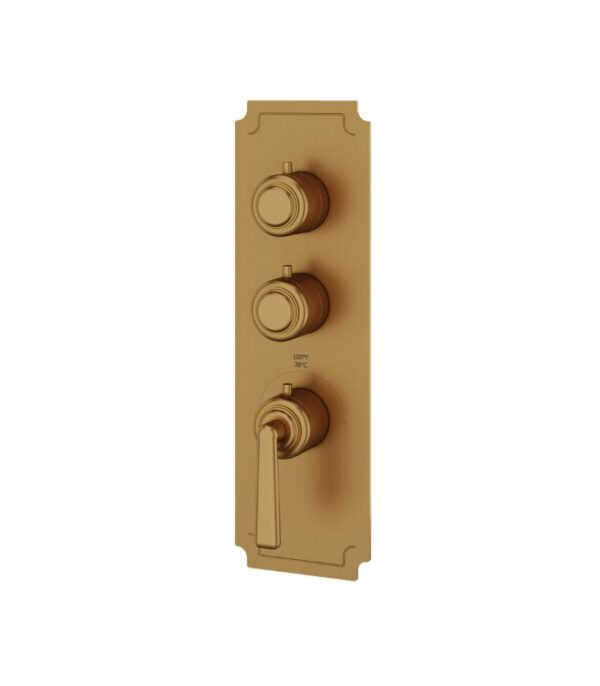 Aquabrass Forum C3242 2-Shut-Off Thermostatic Valve Round Trim Set, Variable Finish - Image 3