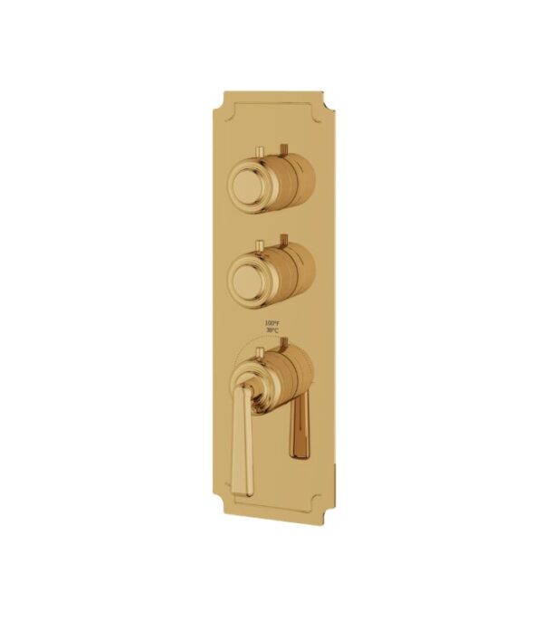Aquabrass Forum C3242 2-Shut-Off Thermostatic Valve Round Trim Set, Variable Finish - Image 6