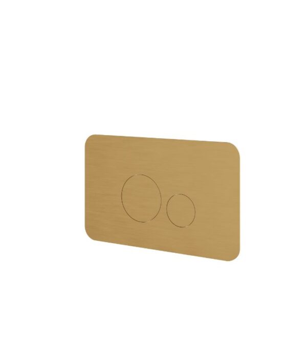 Aquabrass RFP01 Round Stainless Steel Flush Plate for Wall Carrier - Image 3