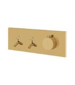 Aquabrass Aquaduct 2-Way Shower Trim DI2WBBC - Image 6