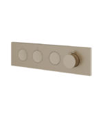 Aquabrass Aquaduct 2-Way Shower Trim FL2WBBC - Image 2