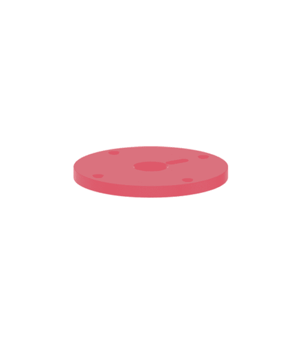 Fresh Raspberry