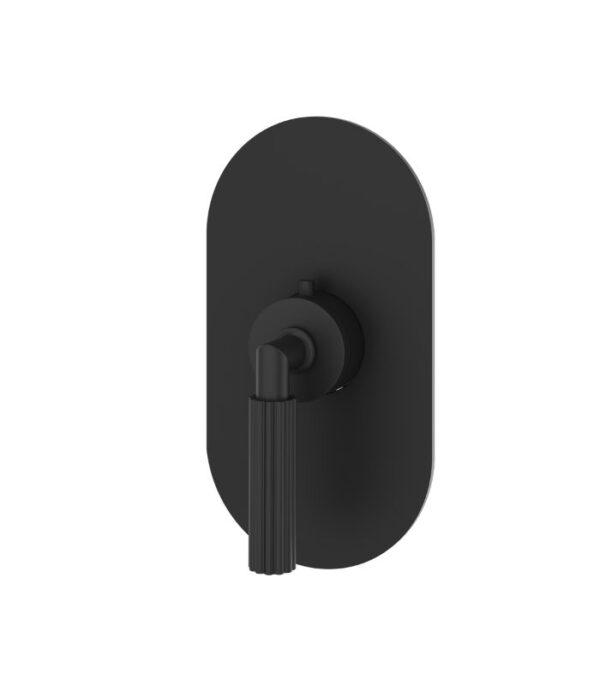 Aquabrass Montebello Round Trim Set for Shut-Off Thermostatic Valve R3049 - Image 3
