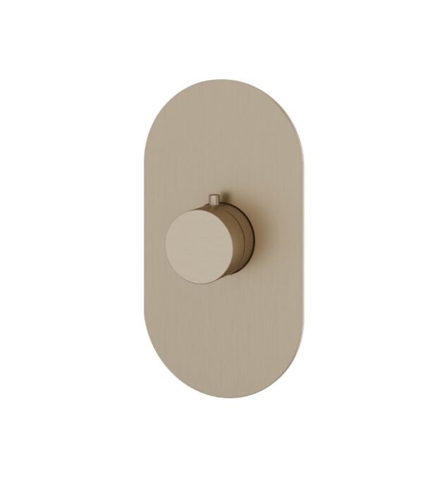 Aquabrass ROUND TRIM SET 4 1/4" x 7 7/8" x 1/8" Shower Trim Set Variable Finish R3095 - Image 2
