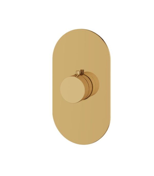 Aquabrass ROUND TRIM SET 4 1/4" x 7 7/8" x 1/8" Shower Trim Set Variable Finish R3095 - Image 7