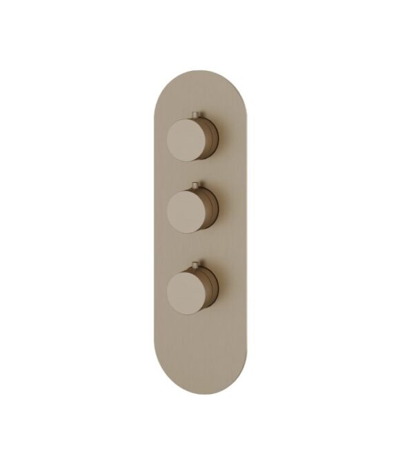 Aquabrass Round 4 1/4" x 13 3/4" x 1/8" Shower Trim Set Variable Finish R3295 - Image 2