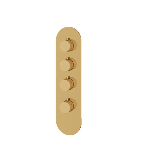 Aquabrass R3395 Montecarlo Round Shower Trim Set 4 1/4" x 16 3/4" x 1/8" Variable Finish - Image 7