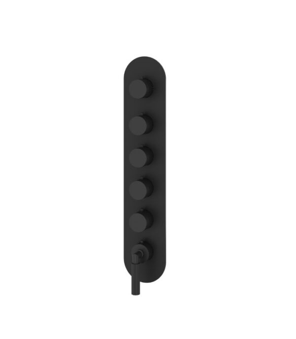 Aquabrass Montecarlo Round 5 Shut-Off Thermostatic Trim Set R3550 - Image 3