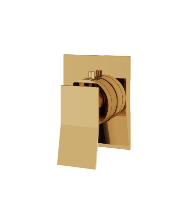 Aquabrass CHICANE 2-Way Shared Diverter Square Trim Set S2219 - Image 6