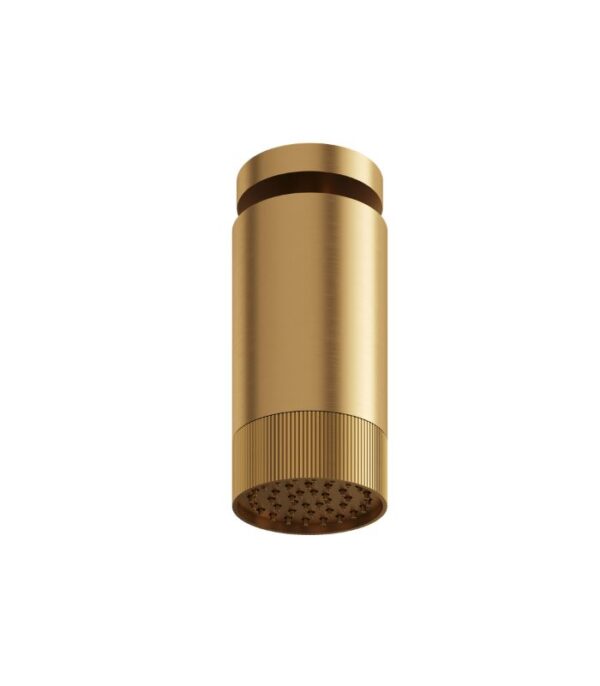 Aquabrass SPT65 Textured Ring Rainhead with Ceiling Shower Arm - Image 6