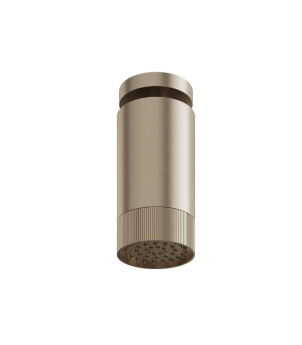 Aquabrass SPT65 Textured Ring Rainhead with Ceiling Shower Arm - Image 2