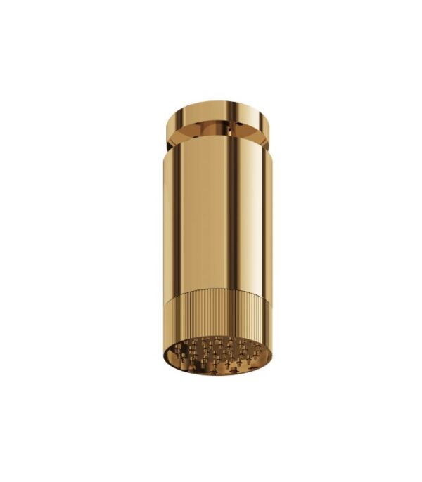 Aquabrass SPT65 Textured Ring Rainhead with Ceiling Shower Arm - Image 7