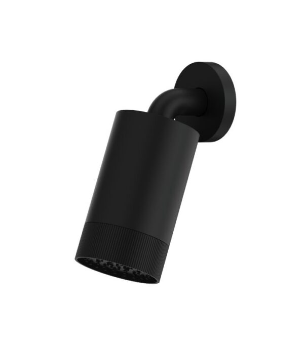 Aquabrass SPT67 Textured Ring Rainhead with Wall Shower Arm - Image 3