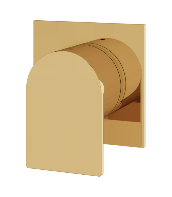 Polished Gold