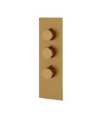 Aquabrass SQUARE / ROUND SR3295 4 1/4” x 13 3/4” x 1/8” Shower Trim Set Variable Finish - Image 6