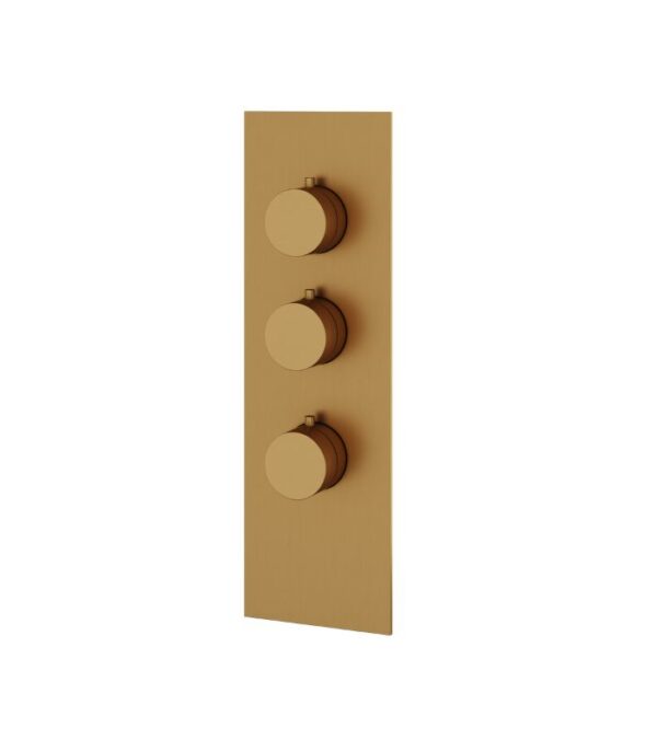 Aquabrass SQUARE / ROUND SR3295 4 1/4” x 13 3/4” x 1/8” Shower Trim Set Variable Finish - Image 6