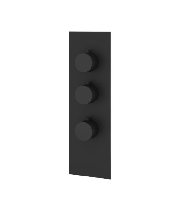 Aquabrass SQUARE / ROUND SR3295 4 1/4” x 13 3/4” x 1/8” Shower Trim Set Variable Finish - Image 3