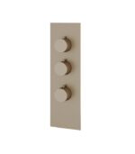 Aquabrass SQUARE / ROUND SR3295 4 1/4” x 13 3/4” x 1/8” Shower Trim Set Variable Finish - Image 2