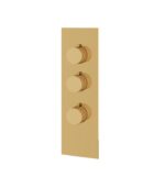 Aquabrass SQUARE / ROUND SR3295 4 1/4” x 13 3/4” x 1/8” Shower Trim Set Variable Finish - Image 7