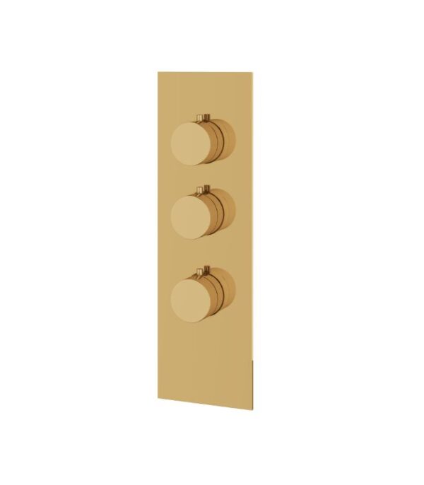 Aquabrass SQUARE / ROUND SR3295 4 1/4” x 13 3/4” x 1/8” Shower Trim Set Variable Finish - Image 7