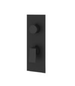 Aquabrass CHICANE Square Round Trim Set with 2-Way Shared Diverter for Thermostatic Valve, SR8219 - Image 3