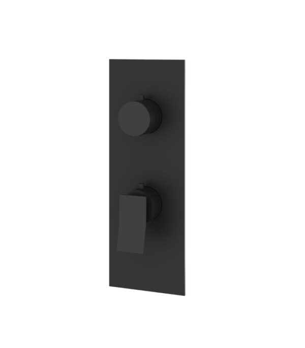 Aquabrass CHICANE Square Round Trim Set with 2-Way Shared Diverter for Thermostatic Valve, SR8219 - Image 3