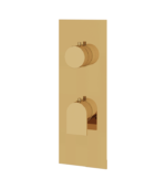 Aquabrass Alpha 2-Way Shared Diverter Shower Trim Set SR8292BBC