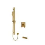 Shower Kit 1244 Trim - Brushed Gold