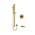 Shower Kit 1244 Trim - Brushed Gold