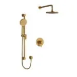 Shower Kit 323 Trim - Brushed Gold