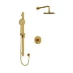 Shower Kit 323 Trim - Brushed Gold