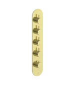 Vogt Drava 3/4″ High-Flow 4-Volume-Control Trim TM.DA.450 - Image 5