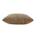 Renwil Alchemilla Tan Poly-Velvet Pillow 20 x 20 PWFL1458 - side view of tan pillow