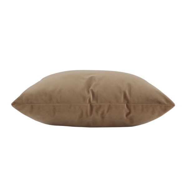 Renwil Alchemilla Tan Poly-Velvet Pillow 20 x 20 PWFL1458 - side view of tan pillow