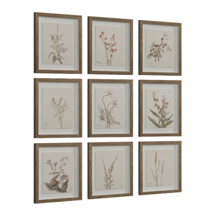 Renwil Crema Framed Art Print — Set of 9 — product view 2 — PA0043
